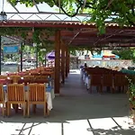Zeybek Turunç